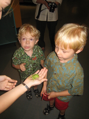Cole and Tim looking at a walking leaf at the Insectarium (07-25-2008 09:11)
