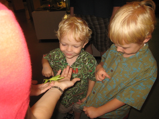 Cole and Tim looking at a walking leaf at the Insectarium (07-25-2008 09:11)