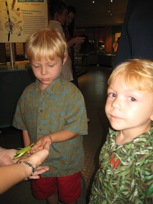 Cole and Tim looking at a walking leaf at the Insectarium (07-25-2008 09:12)