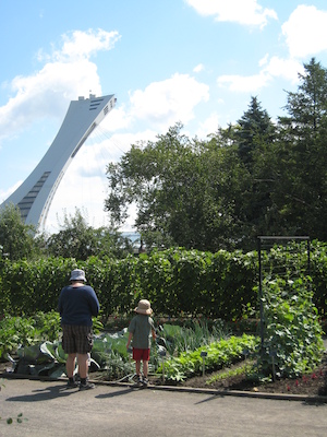 Xine, Cole and Tim at the Botanical Garden (07-25-2008 09:53)