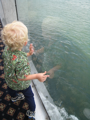 Cole looking out (07-28-2008 15:32)