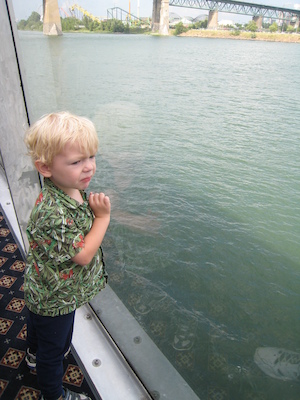 Cole looking out (07-28-2008 15:32)