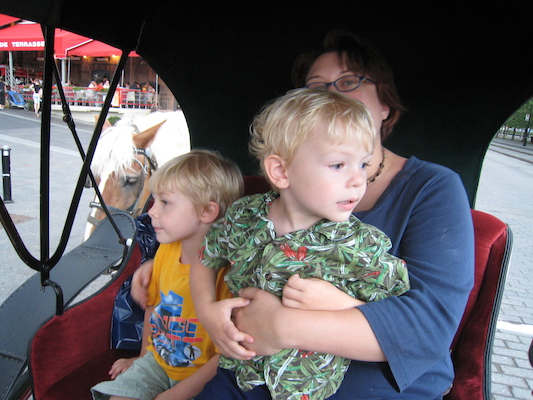 Tim, Cole and Xine in the carriage (07-28-2008 17:51)
