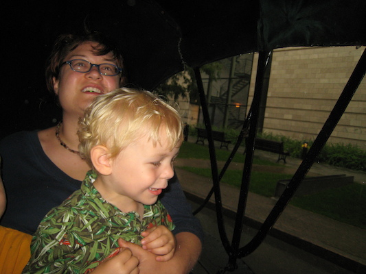 Xine and Cole in the carriage (07-28-2008 17:58)