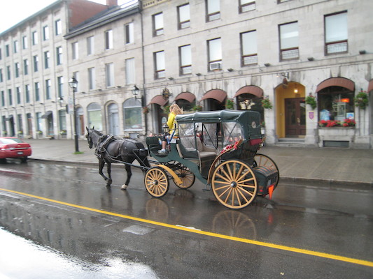 Another carriage (07-28-2008 18:14)