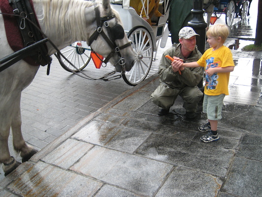 Tim feeding Duke the horse (07-28-2008 18:21)