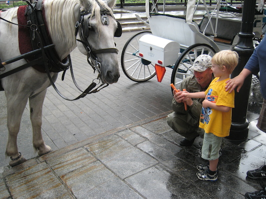 Tim feeding Duke the horse (07-28-2008 18:21)
