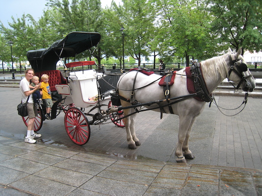 Ben, Cole and Tim with Duke the horse (07-28-2008 18:24)
