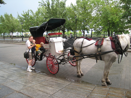 Ben, Cole and Tim with Duke the horse (07-28-2008 18:24)
