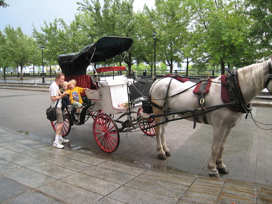 Ben, Cole and Tim with Duke the horse (07-28-2008 18:24)