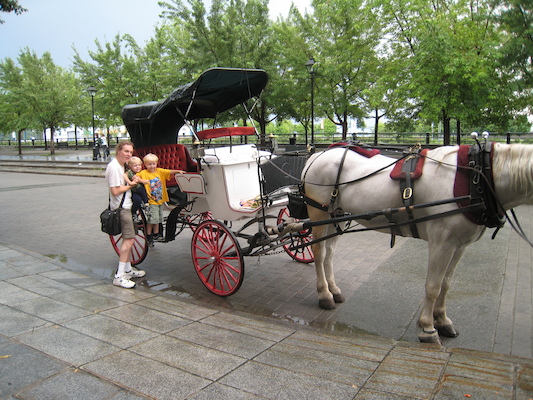 Ben, Cole and Tim with Duke the horse (07-28-2008 18:24)