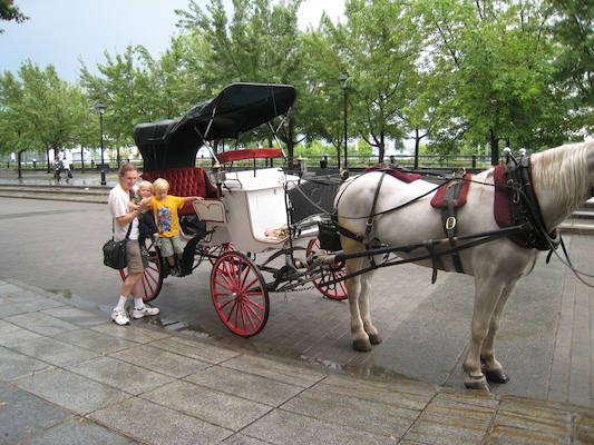 Ben, Cole and Tim with Duke the horse (07-28-2008 18:24)