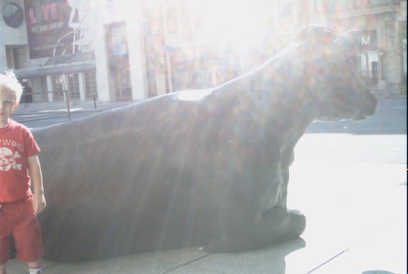 IMG_0984 (08-03-2008 20:44)