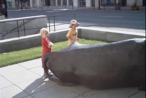 IMG_0985 (08-03-2008 20:44)