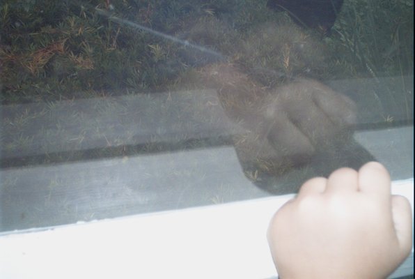 IMG_1010 (08-14-2008 20:56)