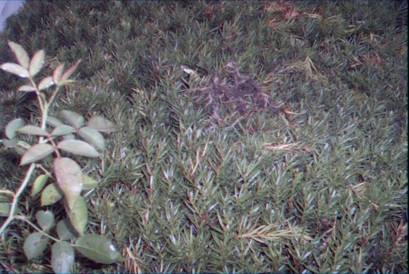 IMG_1014 (08-14-2008 20:56)