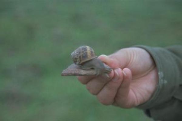 Xine holding a snail
