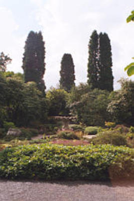 Bodnant gardens
