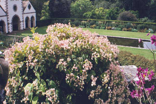 Bodnant formal gardens