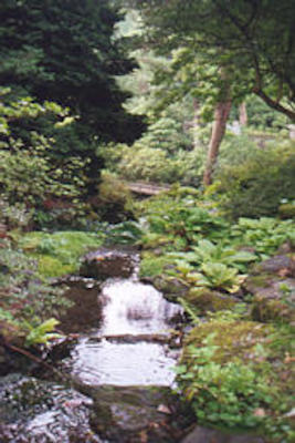 Bodnant gardens