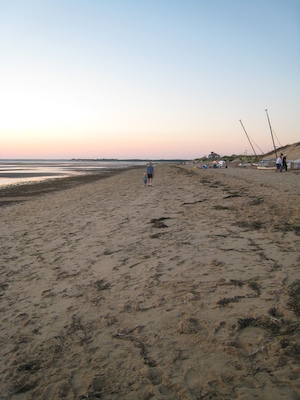 Cole and Ben on the beach (08-17-2008 18:33)