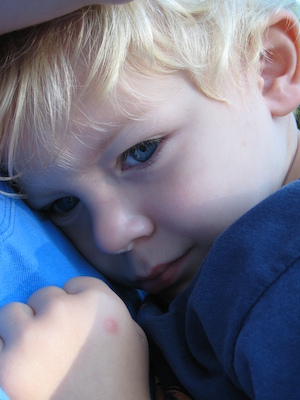 Xine and Cole cuddling (09-03-2008 07:50)