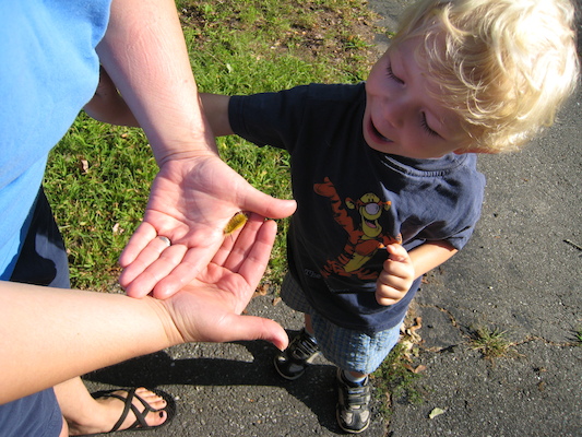 Xine, Cole and the caterpillar (09-03-2008 07:53)