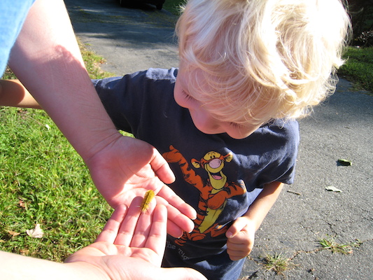 Xine, Cole and the caterpillar (09-03-2008 07:53)