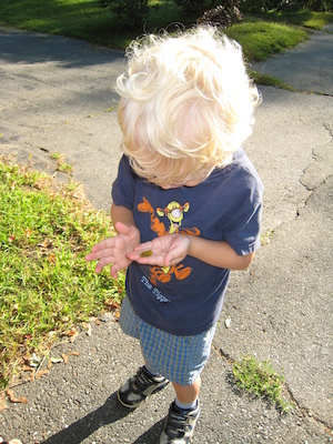 Cole and the caterpillar (09-03-2008 07:53)