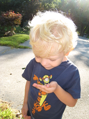 Cole and the caterpillar (09-03-2008 07:53)