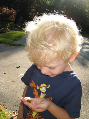 Cole and the caterpillar (09-03-2008 07:54)