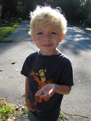 Cole and the caterpillar (09-03-2008 07:54)