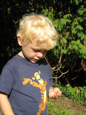 Cole and the caterpillar (09-03-2008 07:54)