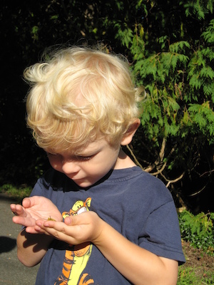 Cole and the caterpillar (09-03-2008 07:54)