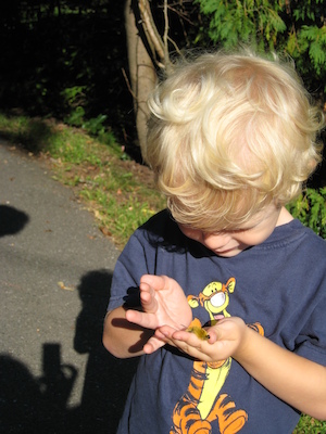 Cole and the caterpillar (09-03-2008 07:54)