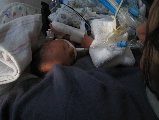 Linda on Barb (10-18-2008 16:01)