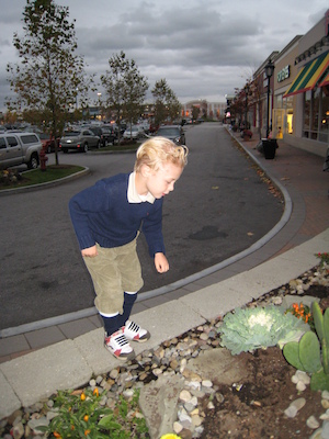 Tim Tintin (10-25-2008 17:22)