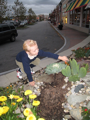 Tim Tintin (10-25-2008 17:22)