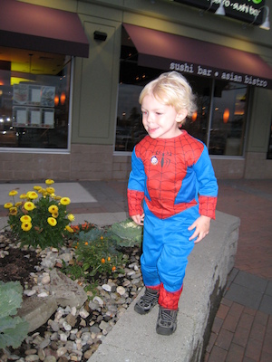 Spider Cole (10-25-2008 17:23)