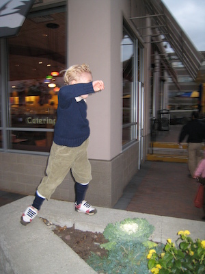 Tim Tintin (10-25-2008 17:23)