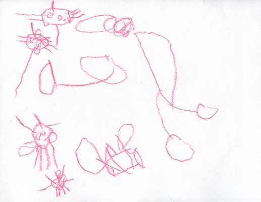 Cole "Untitled", 2008