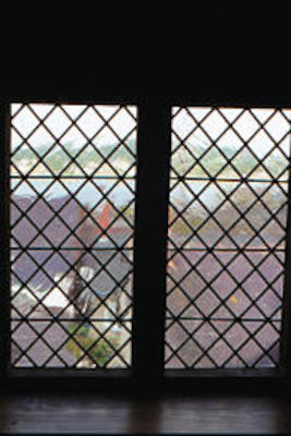 Plas Mawr leaded window