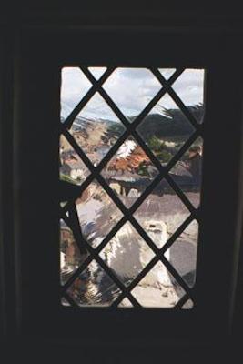 Plas Mawr leaded window