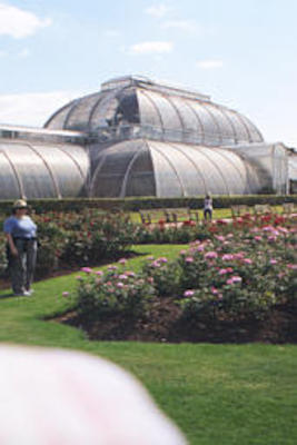 Kew greenhouse