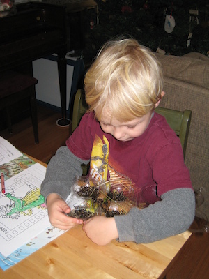 Tim and plant soil experiment (12-20-2008 09:02)