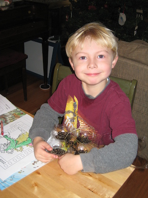 Tim and plant soil experiment (12-20-2008 09:02)