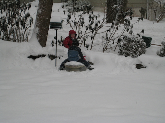Snowy Tim and Cole (01-11-2009 08:55)