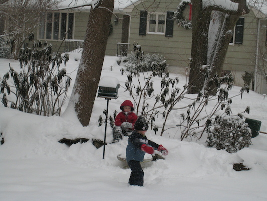 Snowy Tim and Cole (01-11-2009 08:56)