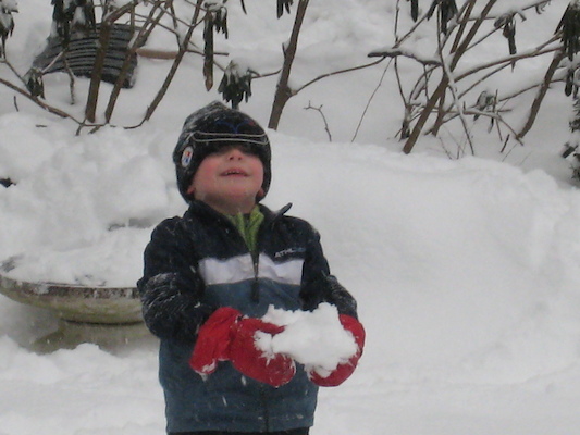 Snowy Cole (01-11-2009 08:56)