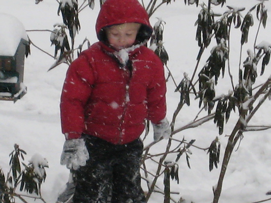 Snowy Tim (01-11-2009 08:56)